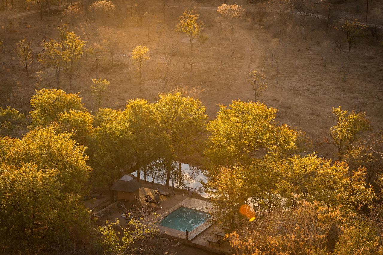 Chacma Bush Camp Villa Balule Wildreservaat Buitenkant foto