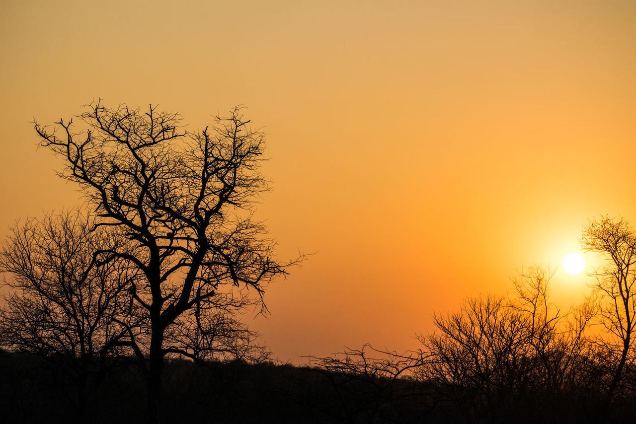 Chacma Bush Camp Villa Balule Wildreservaat Buitenkant foto